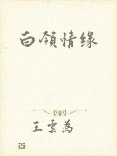 白领情缘