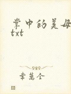 掌中的美母版主txt