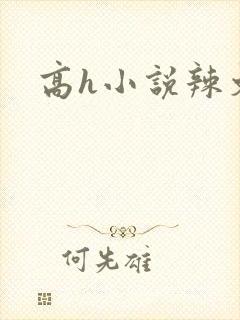 高h小说辣文