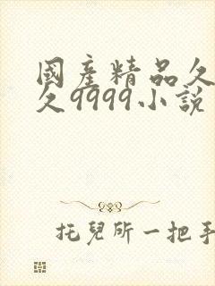 国产精品久久久久9999小说