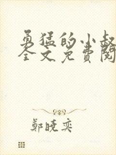 勇猛的小叔小说全文免费阅读