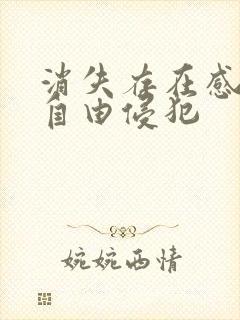 消失存在感消失自由侵犯