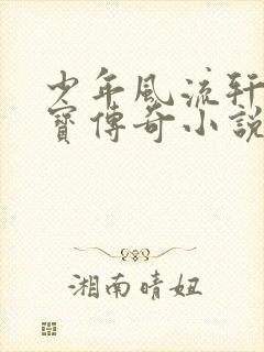 少年风流轩辕大宝传奇小说