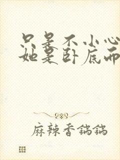 只是不小心发现她是卧底而已