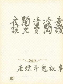 夜阑清冷意欢小说免费阅读