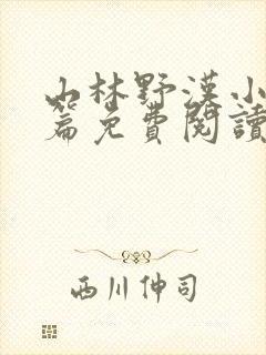 山林野汉小说全篇免费阅读