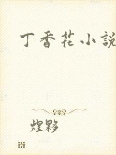 丁香花小说