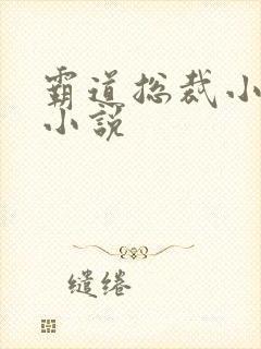 霸道总裁小娇妻小说