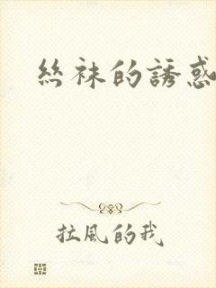 丝袜的诱惑小说