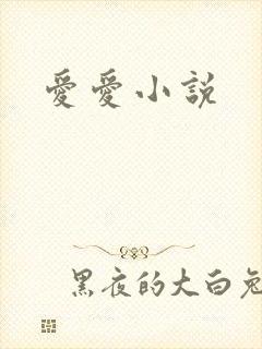 爱爱小说