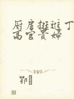 厨房挺进丁字裤高官贵妇