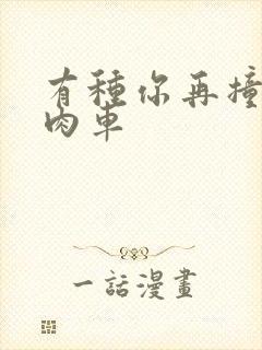 有种你再撞一下肉车