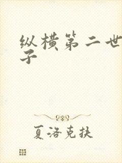 纵横第二世界宽子