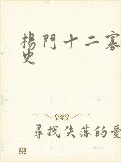 杨门十二寡妇艳史