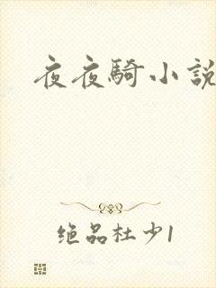 夜夜骑小说