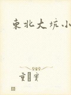 东北大坑小说