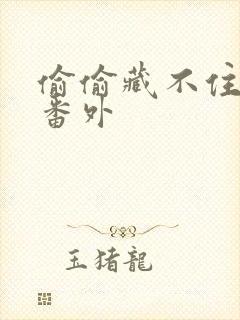 偷偷藏不住新婚番外