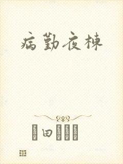 病勤夜栋封面