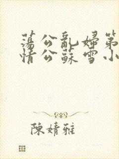 荡公乱妇第1章情公苏雪小说