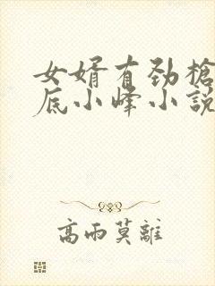 女婿有劲枪枪到底小峰小说