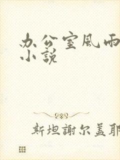 办公室风雨完整小说