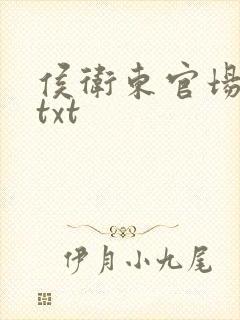 侯卫东官场笔记txt