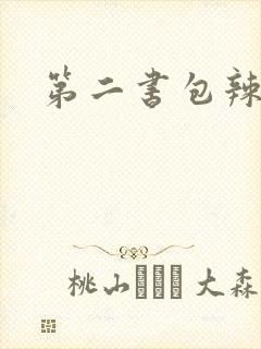 第二书包辣文