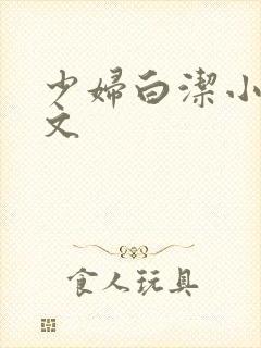 少妇白洁小说全文