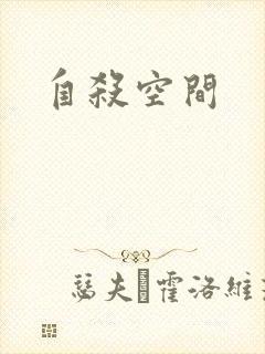 自杀空间封面