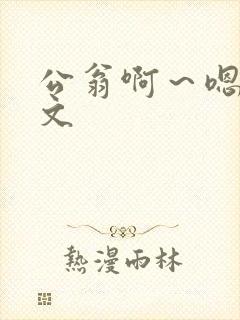 公翁啊～嗯啊h文