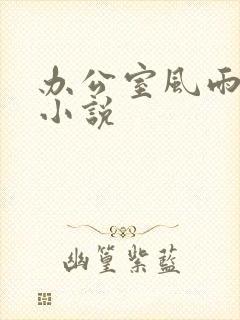 办公室风雨完整小说