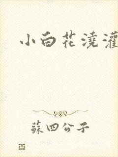 小白花浇灌日常