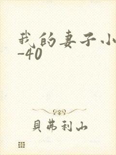 我的妻子小谨1-40