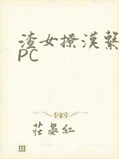 渣女撩汉系统NPC