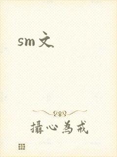 sm文