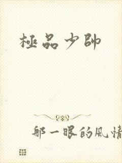 极品少帅