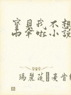 宝贝我不想带小雨伞啦小说