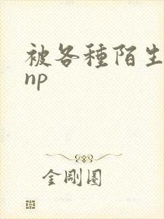 被各种陌生人 np