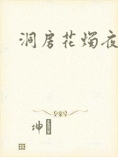 洞房花烛夜小说