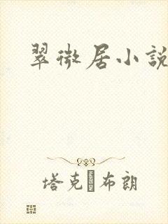 翠微居小说
