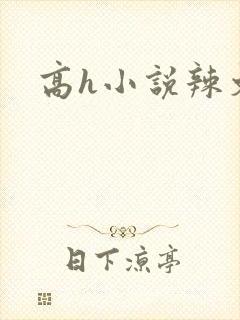 高h小说辣文