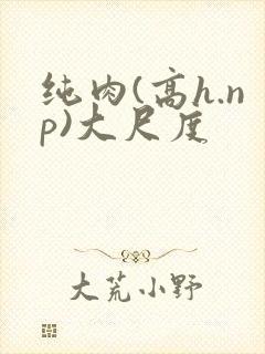 纯肉(高h.np)大尺度