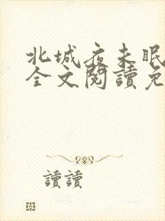 北城夜未眠小说全文阅读免费