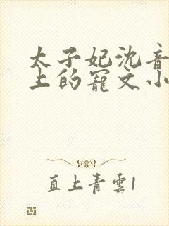 太子妃沈音和皇上的宠文小说