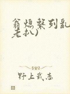 翁熄系列乱 (老扒)封面