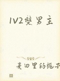 1V2双男主