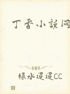 丁香小说网