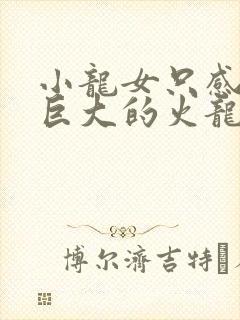 小龙女只感觉那巨大的火龙枪封面