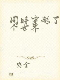 同时穿越了99个世界