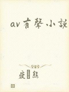 av有声小说